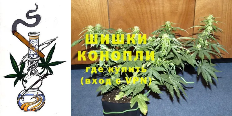 наркотики  Звенигово  Марихуана SATIVA & INDICA 